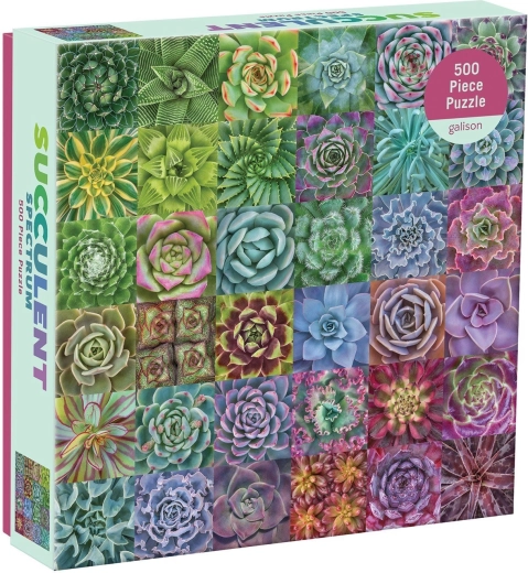 Colorful Succulents Puzzle 500 Pieces GALISON