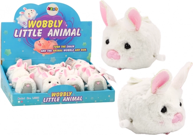 Baltā vēja trusītis