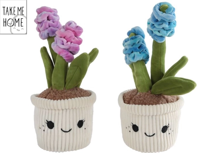 Pūkains hiacinte Take Me Home 26,5 cm