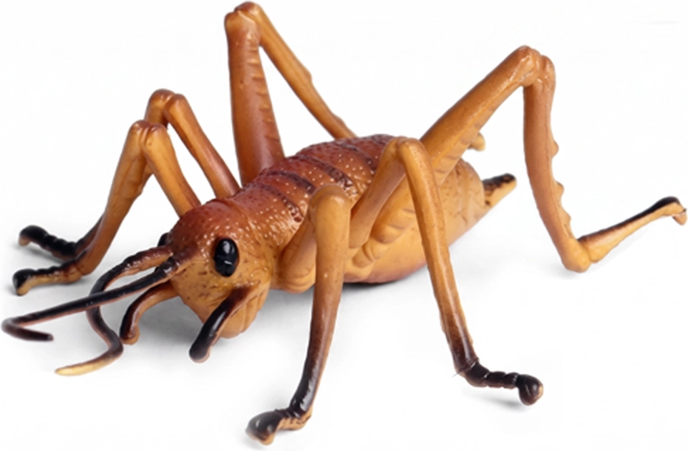 Plastic cricket 10 cm