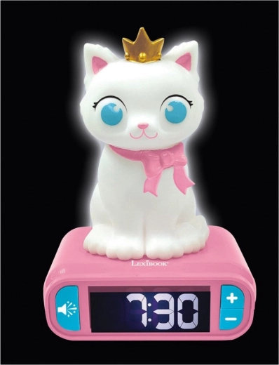 Backlit LCD display and simple controls
