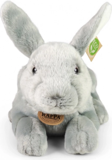 Drošs no dzimšanas