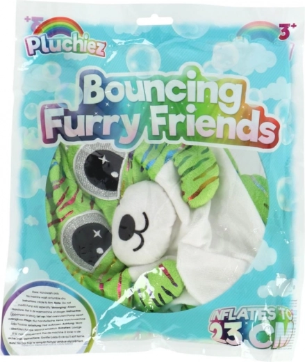 Inflatable Fun