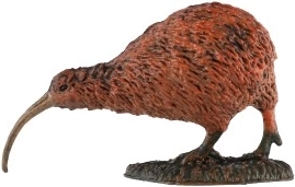 Ideāli piemērota mācībām un kolekcijām