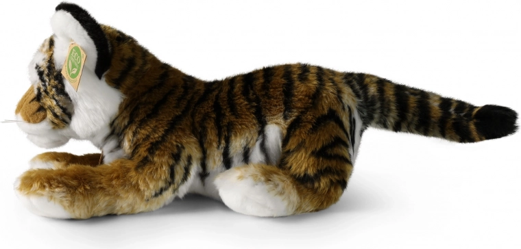 ECO Friendly pildījums