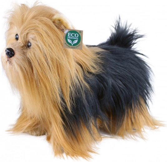 Reālistiska garā spalva un mīļas detaļas