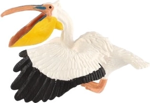 Lieliski piemērota mācībām un kolekcionēšanai