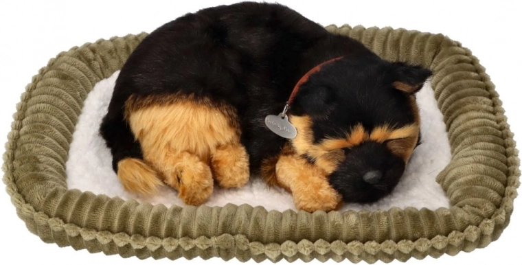 Reālistiska elpošana un mierīgs miegs