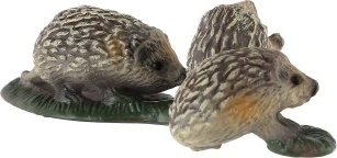 Kompakts izmērs jebkurai kompozīcijai