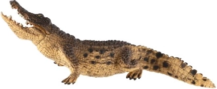 Lieliski piemērota mācībām un kolekcionēšanai