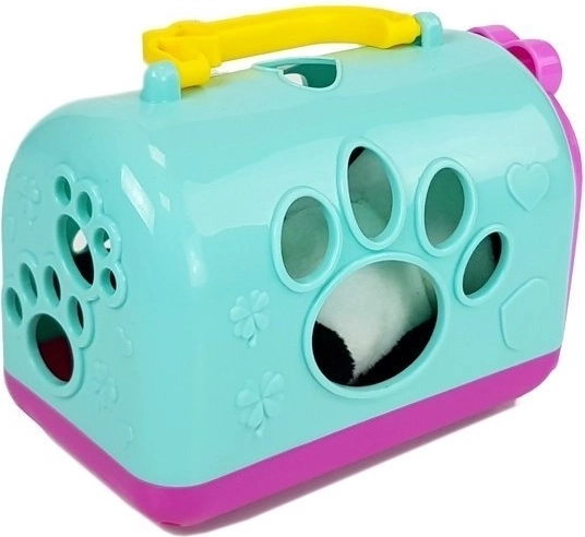 Krāsainas pārnēsājamās kastes