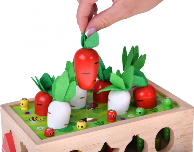 Burkānu un redīsu raža ar filca lakstiem