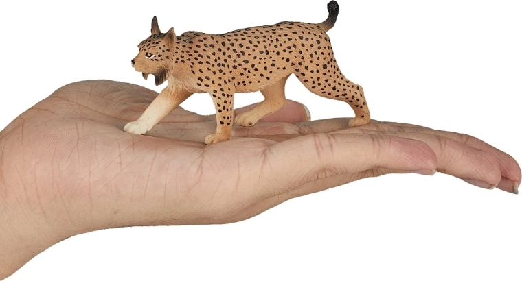 Compact size for young explorers