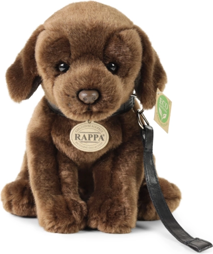 Reālistisks un pievilcīgs dizains