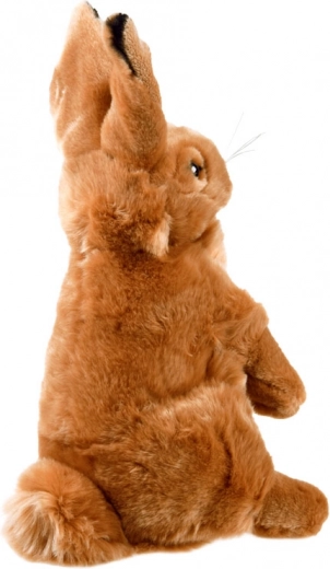 Kvalitatīvs izpildījums