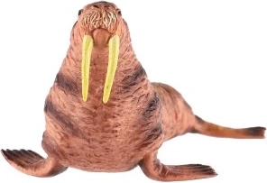 Ideāli kolekcijām un izglītojošiem mērķiem