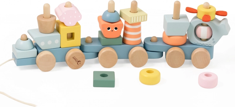 Montessori formu un krāsu kārtošana