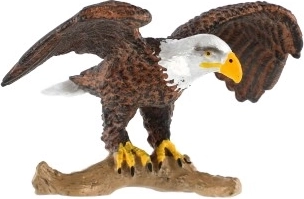 Lieliski piemērota izglītībai un kolekcijām