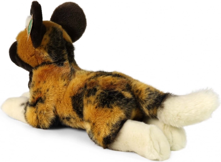 Maigs un reālistisks biedrs