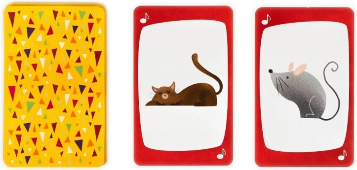 Līdz pat 110 krāsainām attēlu kartēm