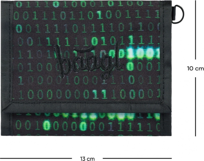 Viegla pārnēsāšana