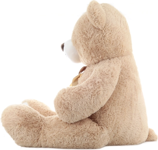 Mīlīgs dizains ar lenti