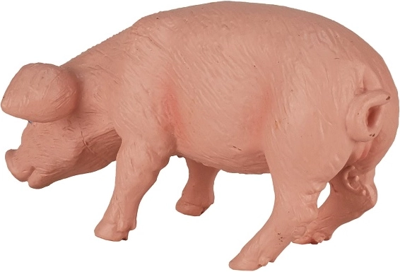 Uzticamas detaļas un krāsojums