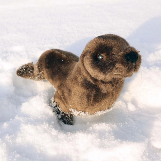 Reālistisks izpildījums un detaļas