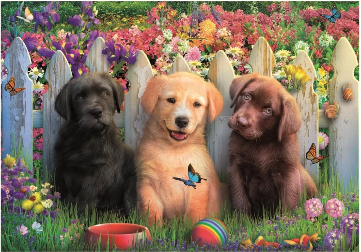 Adorable puppy theme kids love