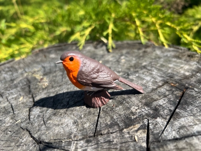 Dekors un izglītojošs palīglīdzeklis