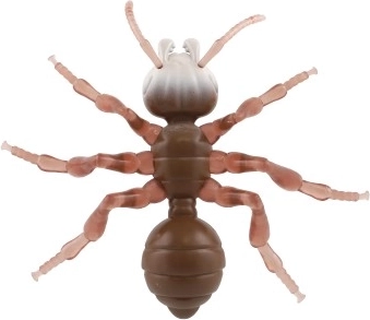 Piemērots arī bērniem