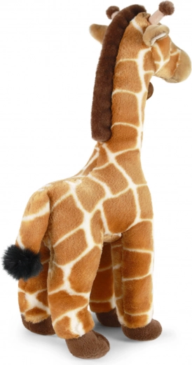 Maiga un droša no dzimšanas