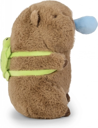 Adorable turtle backpack