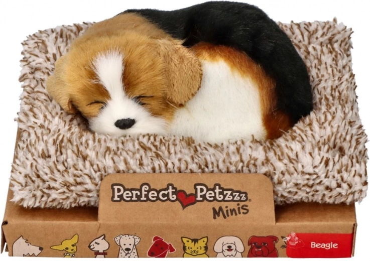 Reālistisks guļošs bīgls