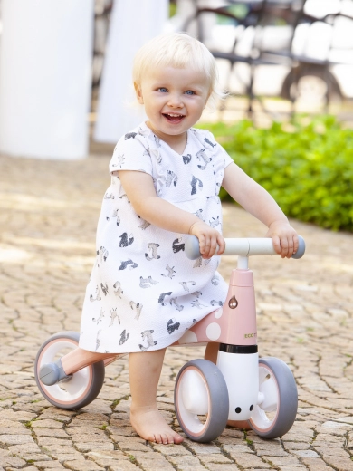 Skaists flamingo motīvs