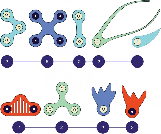 Elastīgas formas un spēcīgi magnēti