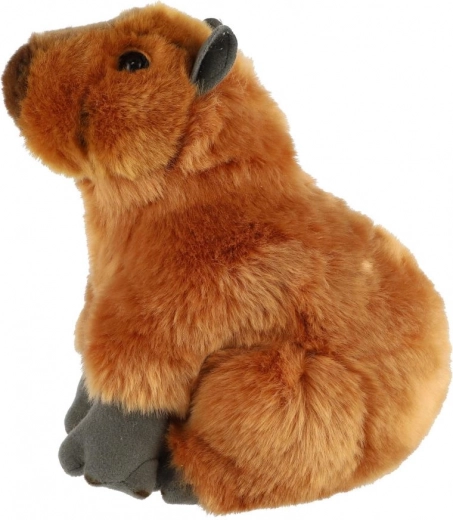 Droša izvēle no dzimšanas