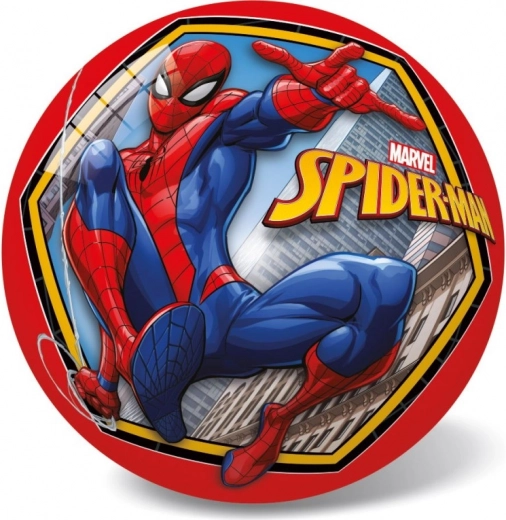 Oficiāls SPIDER-MAN motīvs