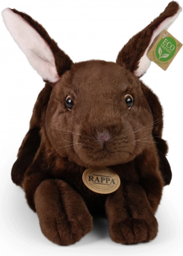 ECO-FRIENDLY pildījums