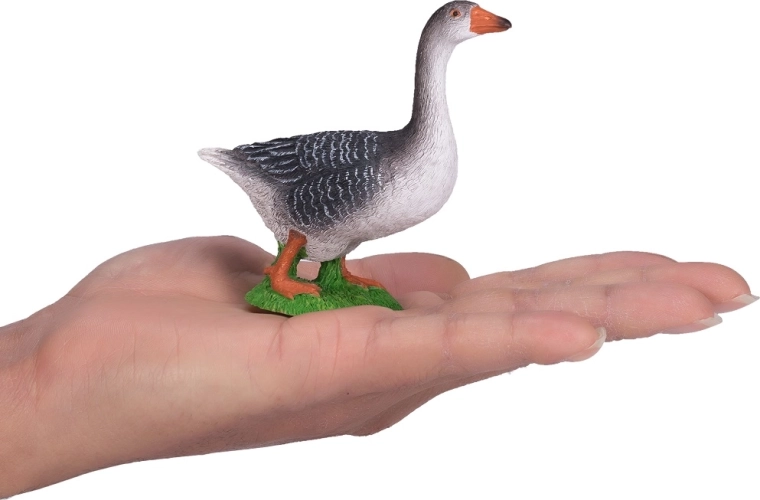 Ideāls izmērs spēlēm un kolekcijai