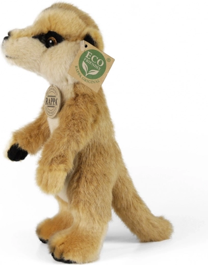 ECO‑FRIENDLY pildījums no PET pudeļu pārstrādes