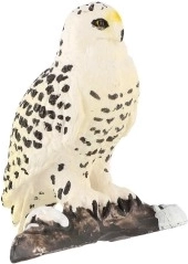 Uzticami Arktikas plēsēja sīkumi