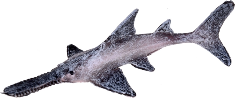 Izglītojoša rotaļlieta