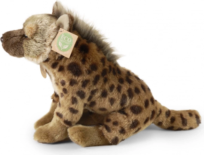 Eco friendly pildījums no PET pudelēm