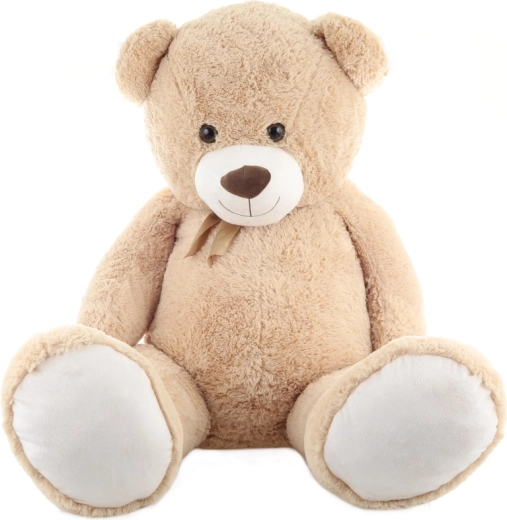 Eleganta lente un mīlīgas detaļas