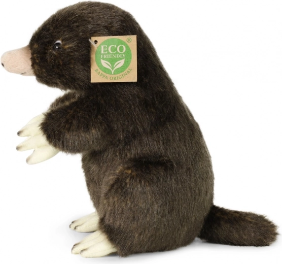 Drošība pirmajā vietā