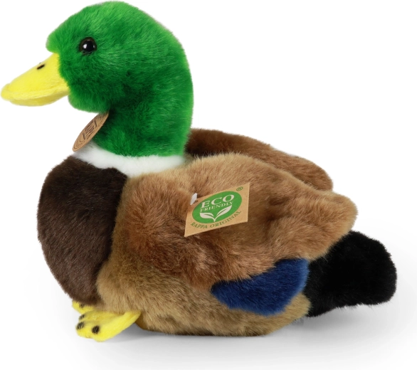 ECO-FRIENDLY materiāli