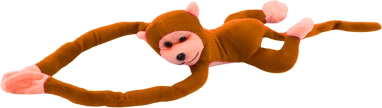 Maigs mīļdraugs rokās