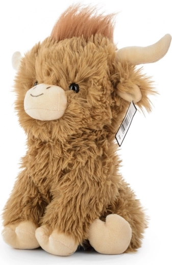 Authentic Highland cow look