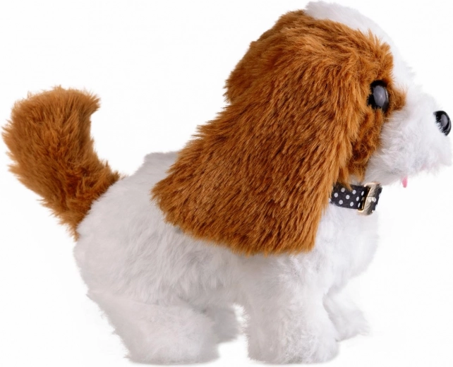 Soft plush and compact size